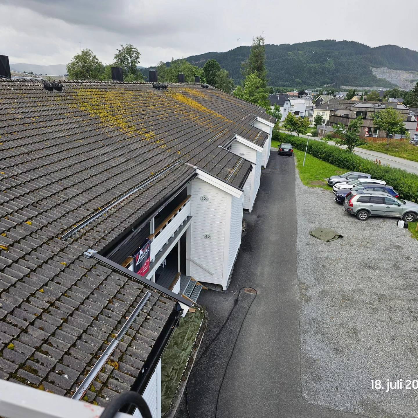 Tak før vask og impregnering - mose og alger